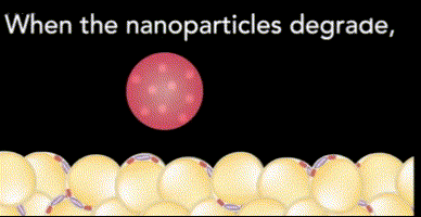 ef5508e0ff21e5b5ac623950a7c3e91d.gif